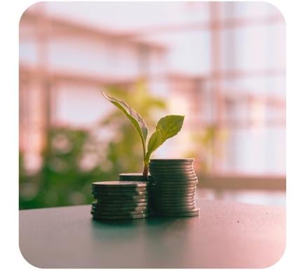 Deceased Estate Superannuation - money growing from coins Coleman Advisory